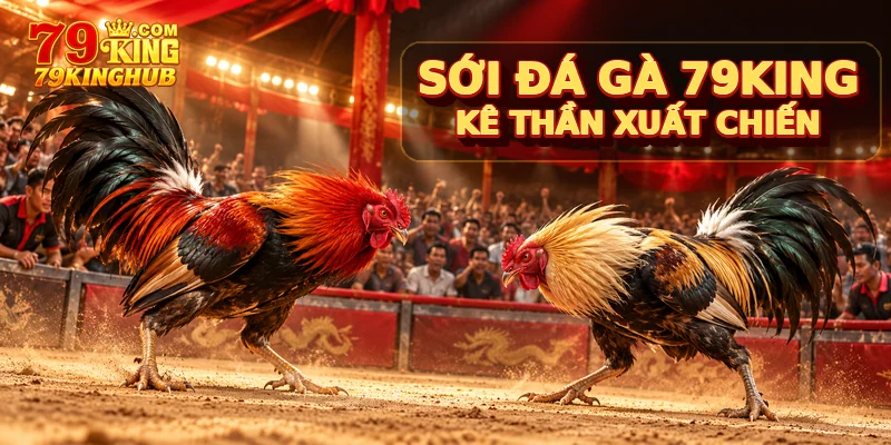 Sới đá gà 79king